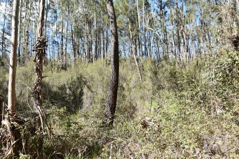 Helårsgrund i Ourem, Santarem, Ourem - € 9.900 | Ref: 140766 - foto 11
