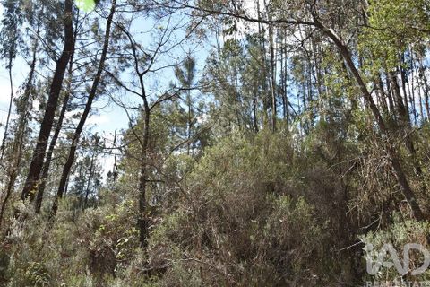 Helårsgrund i Ourem, Santarem, Ourem - € 9.900 | Ref: 140766 - foto 16