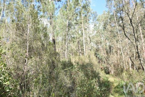 Helårsgrund i Ourem, Santarem, Ourem - € 9.900 | Ref: 140766 - foto 21