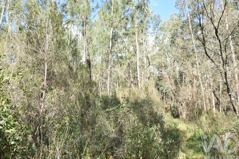 Helårsgrund i Ourem, Santarem, Ourem - € 9.900 | Ref: 140766 - foto 22