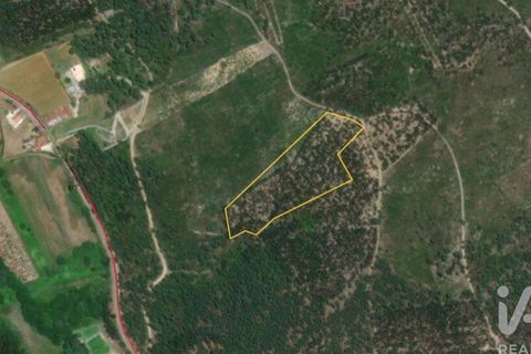 Helårsgrund i Ourem, Santarem, Ourem - € 9.900 | Ref: 140766 - foto 28