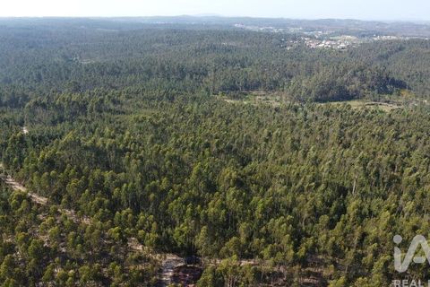 Helårsgrund i Ourem, Santarem, Ourem - € 9.900 | Ref: 140766 - foto 29