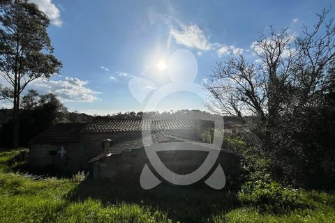 Tomt i Cernache, Coimbra, Cernache - € 25 000 | Ref: cbr3286 - foto 2