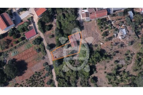 Tomt i Cernache, Coimbra, Cernache - € 25 000 | Ref: cbr3286 - foto 3