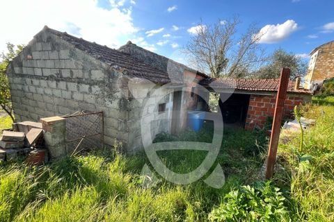 Tomt i Cernache, Coimbra, Cernache - € 25 000 | Ref: cbr3286 - foto 8