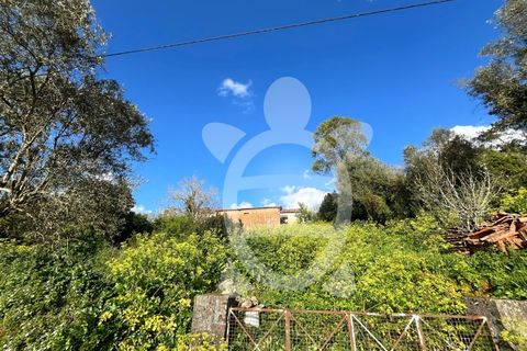 Tomt i Cernache, Coimbra, Cernache - € 25 000 | Ref: cbr3286 - foto 9