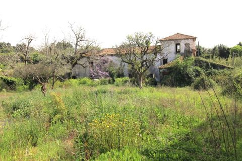 Gård i Cernache, Coimbra, Cernache - € 249 500 | Ref: cdx0884 - foto 17