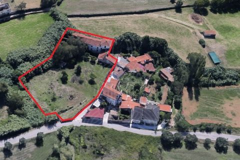 Gård i Cernache, Coimbra, Cernache - € 249 500 | Ref: cdx0884 - foto 18