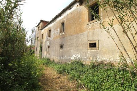 Gård i Cernache, Coimbra, Cernache - € 249 500 | Ref: cdx0884 - foto 14