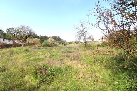 Gård i Cernache, Coimbra, Cernache - € 249 500 | Ref: cdx0884 - foto 19