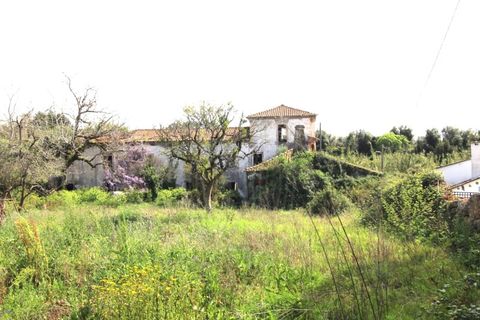 Gård i Cernache, Coimbra, Cernache - € 249 500 | Ref: cdx0884 - foto 20