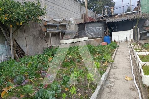Villa i Penafiel, Porto, Penafiel - € 262.000 | Ref: 1360063/25PN - foto 34