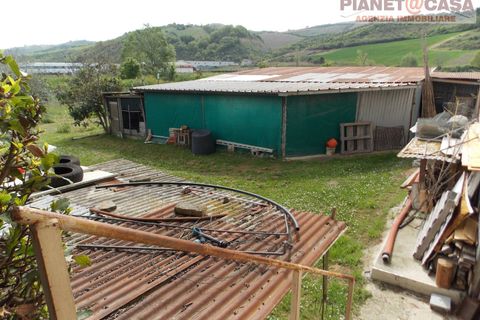 Villa a Controguerra, Teramo, Controguerra - € 250.000 | Ref: VM2698 - foto 43