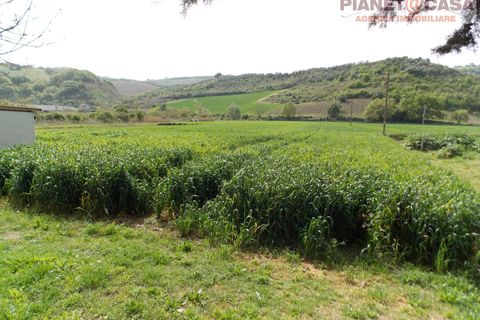 Villa a Controguerra, Teramo, Controguerra - € 250.000 | Ref: VM2698 - foto 45