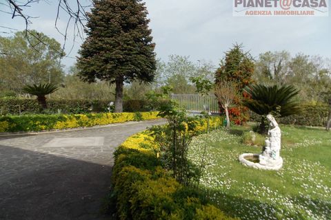 Villa a Controguerra, Teramo, Controguerra - € 250.000 | Ref: VM2698 - foto 2