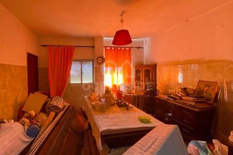 Villa i Soalheira, Castelo Branco, Soalheira - € 210.000 | Ref: OSE25030.PBRM - foto 44