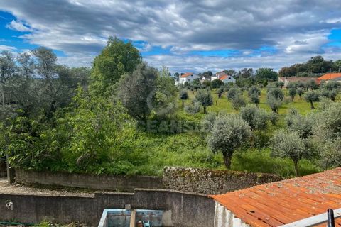 Villa i Soalheira, Castelo Branco, Soalheira - € 210.000 | Ref: OSE25030.PBRM - foto 49