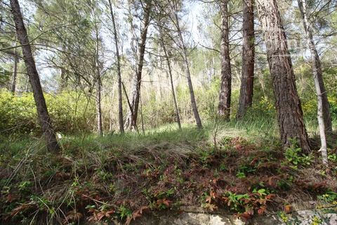 Villa a Espéraza, Aude, Espéraza - € 185.000 | Ref: 85846002 - foto 20