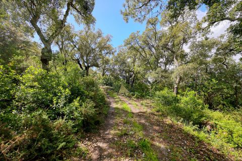Farm hus i Monchique, Faro, Monchique - € 250.000 | Ref: TS007 MO - foto 5