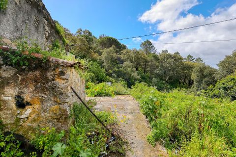 Farm hus i Monchique, Faro, Monchique - € 250.000 | Ref: TS007 MO - foto 6