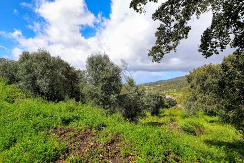 Farm hus i Monchique, Faro, Monchique - € 250.000 | Ref: TS007 MO - foto 8