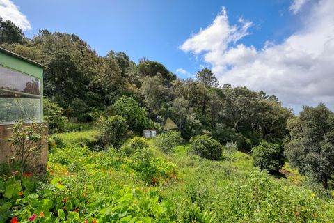 Farm hus i Monchique, Faro, Monchique - € 250.000 | Ref: TS007 MO - foto 9