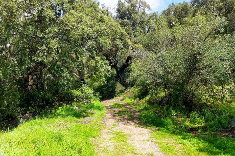 Farm hus i Monchique, Faro, Monchique - € 250.000 | Ref: TS007 MO - foto 22
