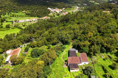 Farm hus i Monchique, Faro, Monchique - € 250.000 | Ref: TS007 MO - foto 24