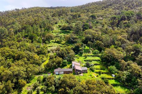 Farm hus i Monchique, Faro, Monchique - € 250.000 | Ref: TS007 MO - foto 25