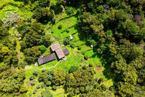 Farm hus i Monchique, Faro, Monchique - € 250.000 | Ref: TS007 MO - foto 27