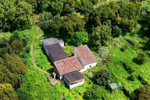 Farm hus i Monchique, Faro, Monchique - € 250.000 | Ref: TS007 MO - foto 28