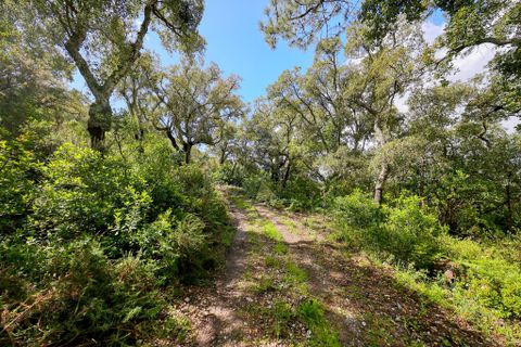 Masia a Monchique, Faro, Monchique - € 250.000 | Ref: TS007 MO - foto 5