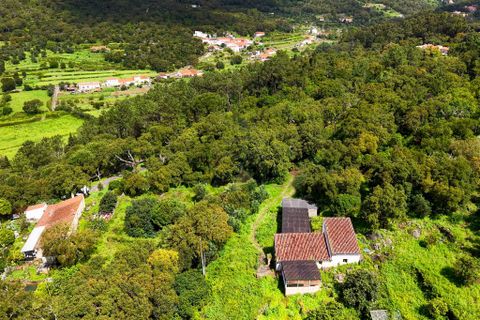 Masia a Monchique, Faro, Monchique - € 250.000 | Ref: TS007 MO - foto 24