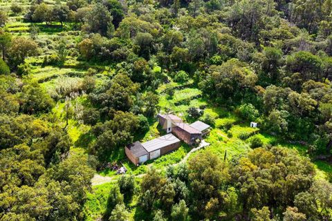 Masia a Monchique, Faro, Monchique - € 249.000 | Ref: CS018 MO - foto 11