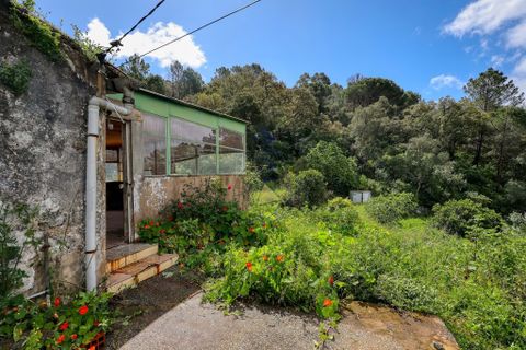 Masia a Monchique, Faro, Monchique - € 249.000 | Ref: CS018 MO - foto 2