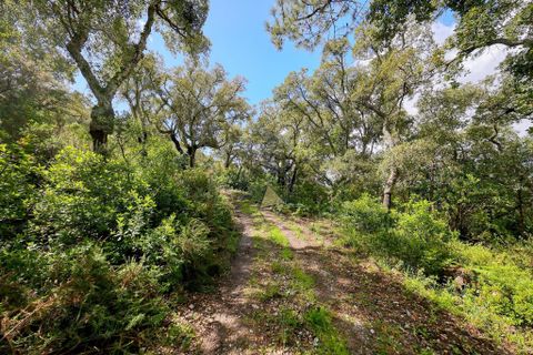 Masia a Monchique, Faro, Monchique - € 249.000 | Ref: CS018 MO - foto 5
