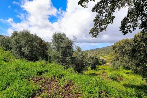 Masia a Monchique, Faro, Monchique - € 249.000 | Ref: CS018 MO - foto 8