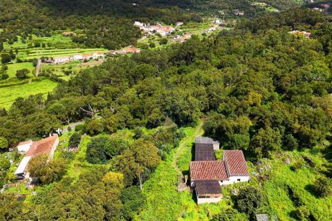 Masia a Monchique, Faro, Monchique - € 249.000 | Ref: CS018 MO - foto 24