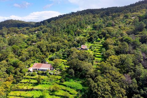 Masia a Monchique, Faro, Monchique - € 249.000 | Ref: CS018 MO - foto 25