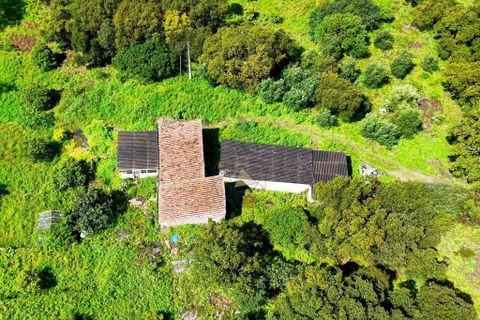 Masia a Monchique, Faro, Monchique - € 249.000 | Ref: CS018 MO - foto 27