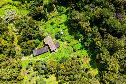 Masia a Monchique, Faro, Monchique - € 249.000 | Ref: CS018 MO - foto 28