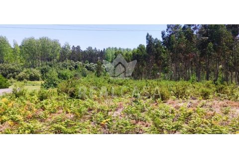 Helårsgrund i Monte Real, Leiria, Monte Real - € 29.500 | Ref: TER_107 - foto 1