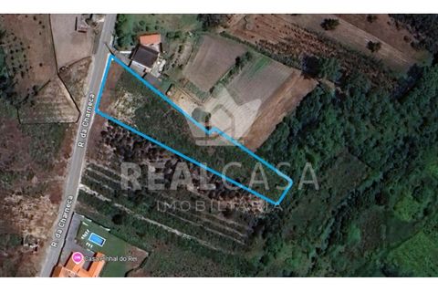 Helårsgrund i Monte Real, Leiria, Monte Real - € 29.500 | Ref: TER_107 - foto 2