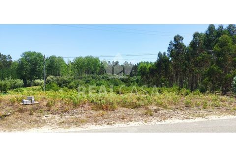 Helårsgrund i Monte Real, Leiria, Monte Real - € 29.500 | Ref: TER_107 - foto 3
