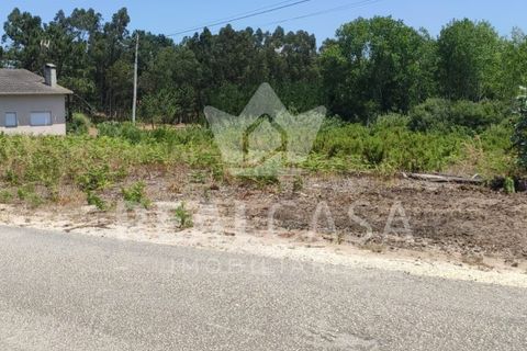 Helårsgrund i Monte Real, Leiria, Monte Real - € 29.500 | Ref: TER_107 - foto 4