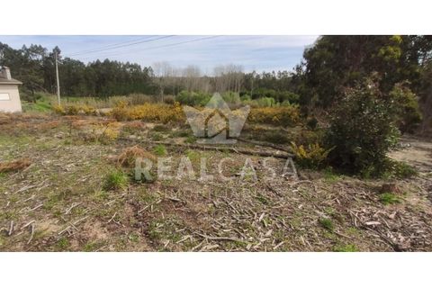 Helårsgrund i Monte Real, Leiria, Monte Real - € 29.500 | Ref: TER_107 - foto 5