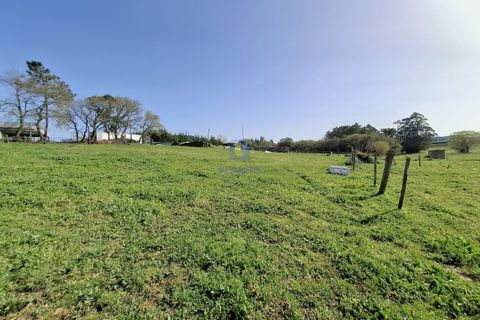 Helårsgrund i Alcobaca, Leiria, Alcobaca - € 175.000 | Ref: LIZ-216586 - foto 5
