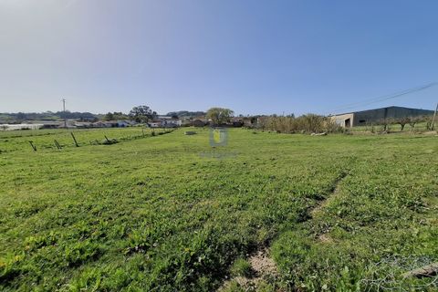 Helårsgrund i Alcobaca, Leiria, Alcobaca - € 175.000 | Ref: LIZ-216586 - foto 6