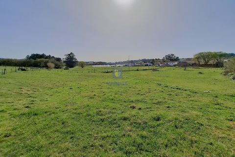 Helårsgrund i Alcobaca, Leiria, Alcobaca - € 175.000 | Ref: LIZ-216586 - foto 7