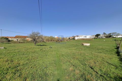 Helårsgrund i Alcobaca, Leiria, Alcobaca - € 175.000 | Ref: LIZ-216586 - foto 9